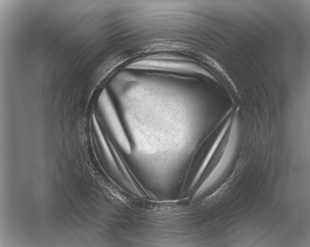 X0000054400786200508192004