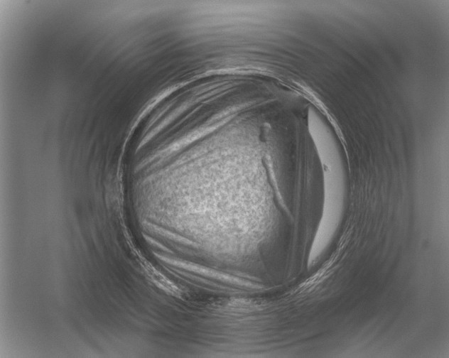 X0000054400787200508192004