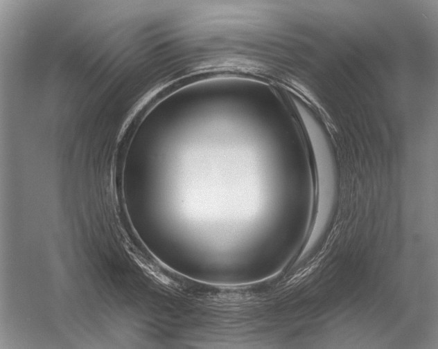 X0000054400788200508192004