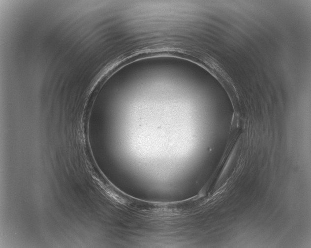 X0000054400789200508192004