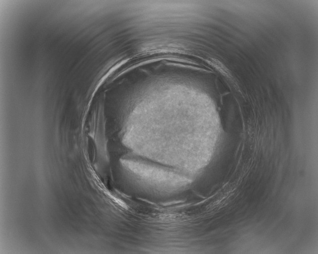 X0000054400790200508192004