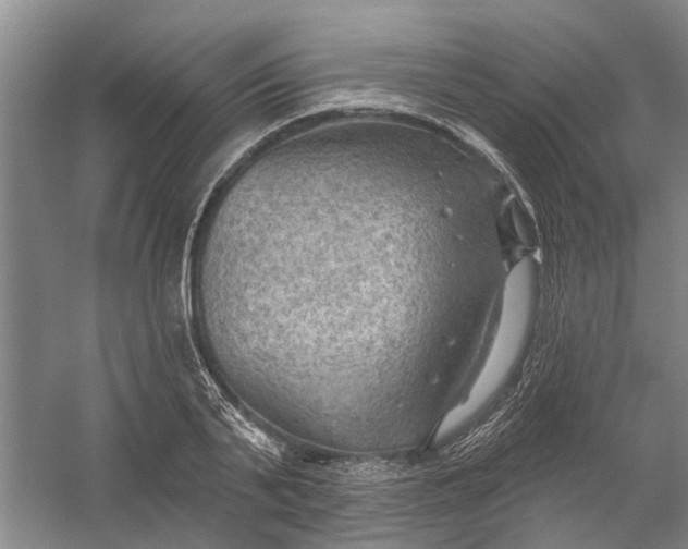 X0000054400791200508192004