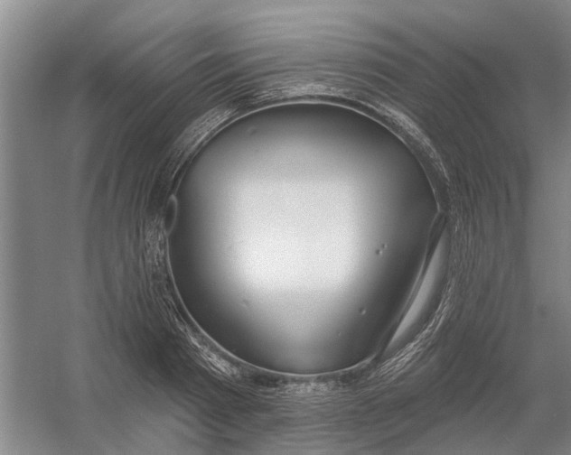 X0000054400793200508192004