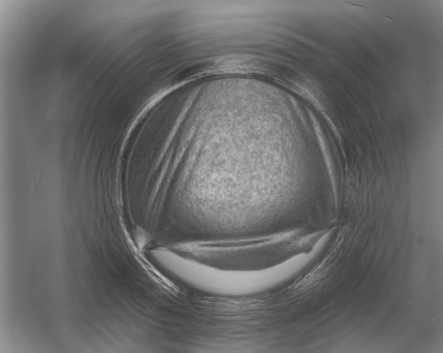 X0000054400795200508192003