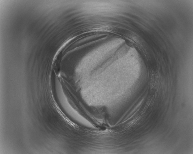 X0000054400796200508192003