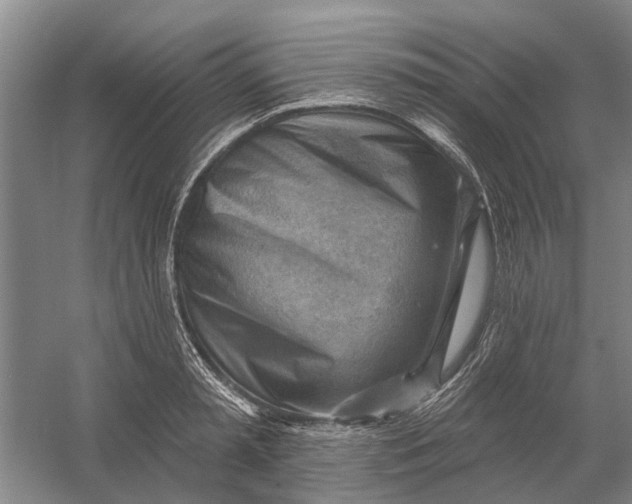 X0000054400797200508192003