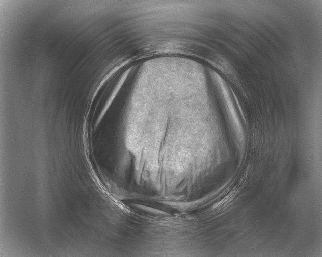 X0000054400798200508192003