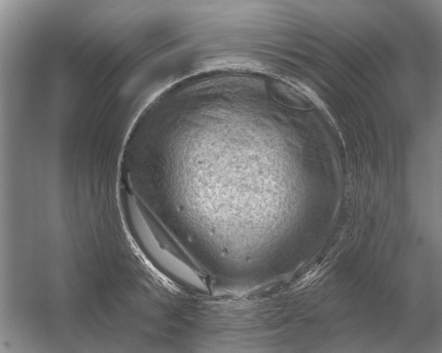 X0000054400799200508192003