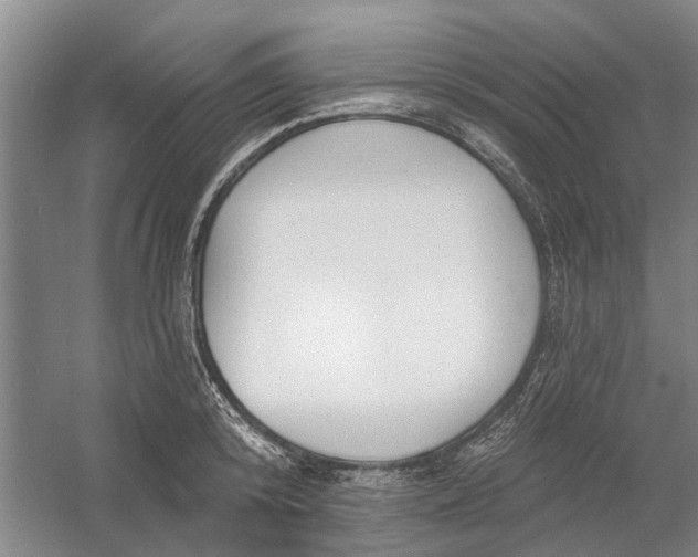 X0000054400800200508192003