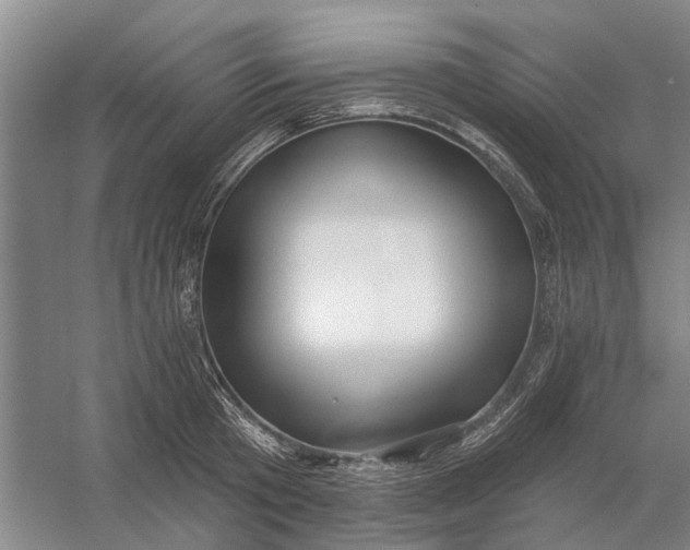 X0000054400801200508192003