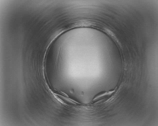 X0000054400802200508192003