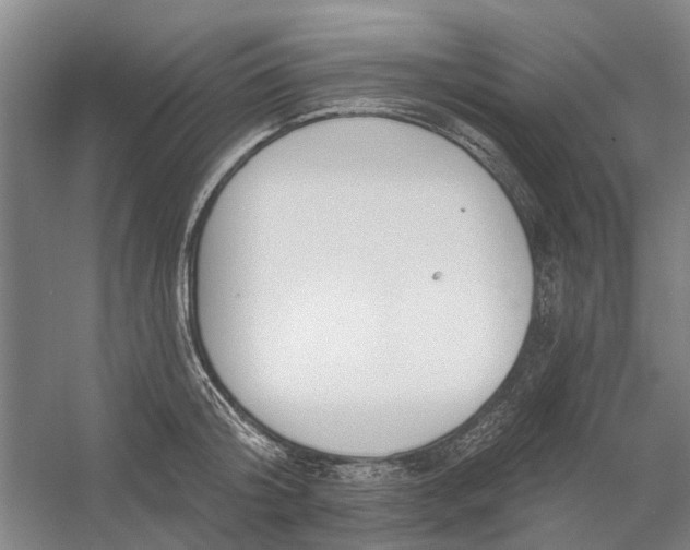 X0000054400804200508192003