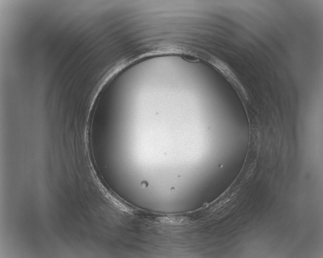 X0000054400805200508192003