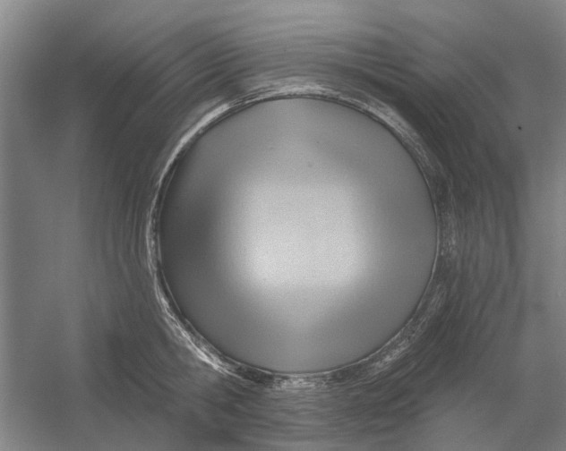 X0000054400806200508192003