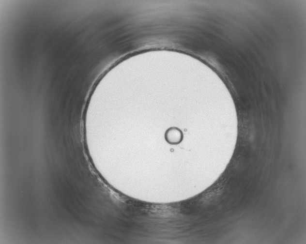 X0000054400807200508192003