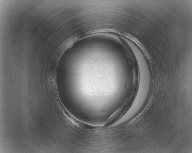 X0000054400809200508192003