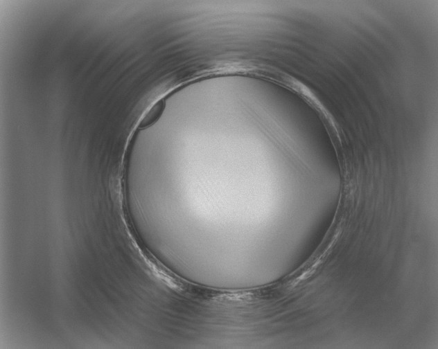 X0000054400810200508192003