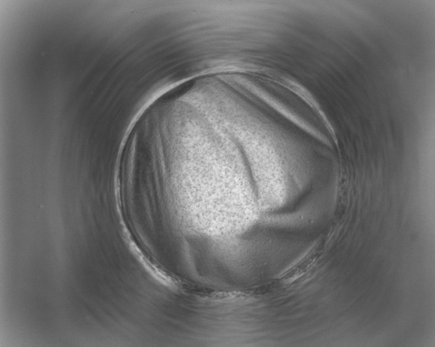 X0000054400811200508192003