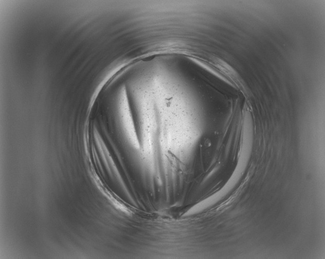 X0000054400812200508192003