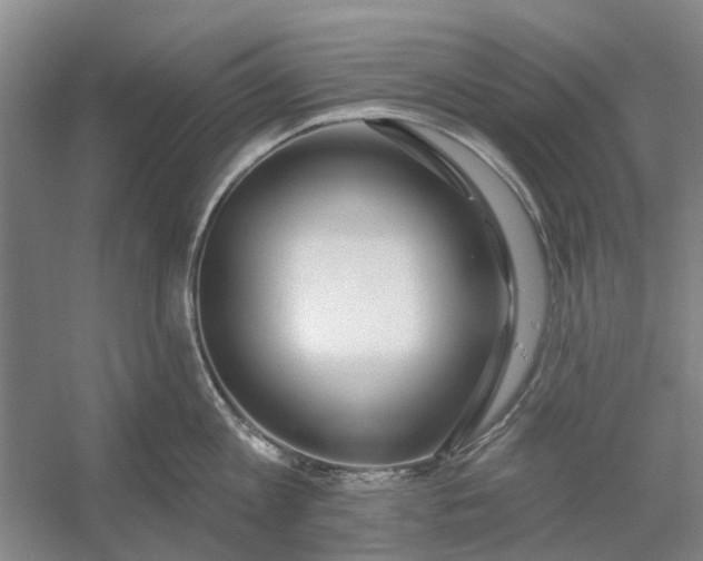 X0000054400813200508192003