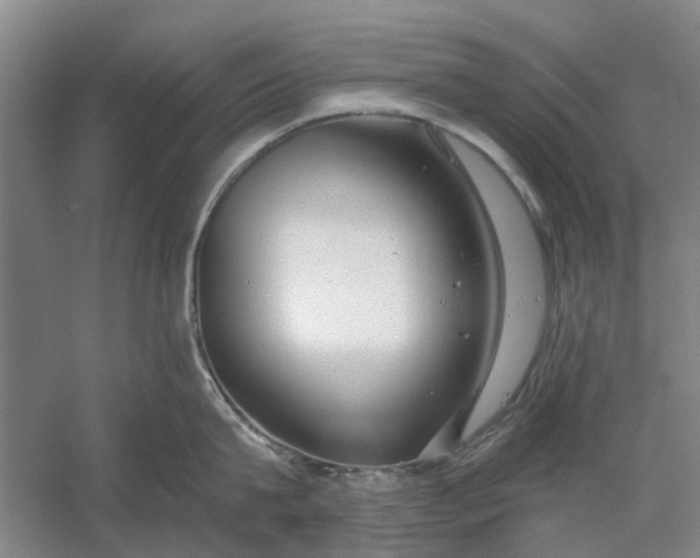 X0000054400815200508192003