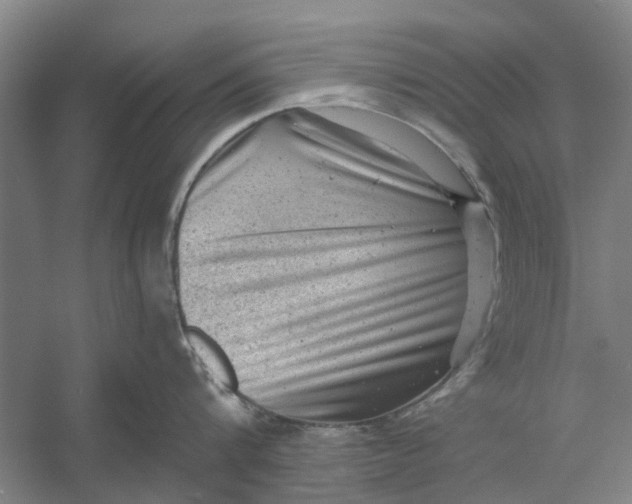 X0000054400816200508192003