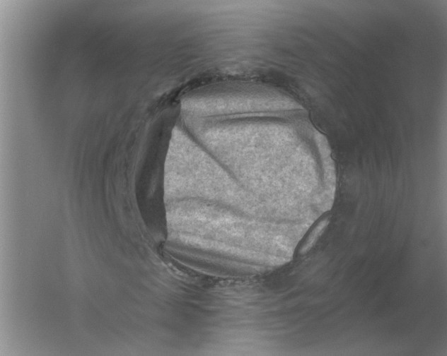 X0000054400817200508192002