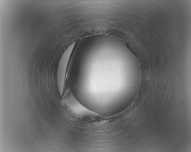 X0000054400818200508192002