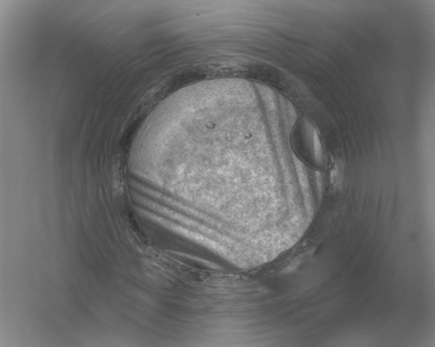 X0000054400819200508192002