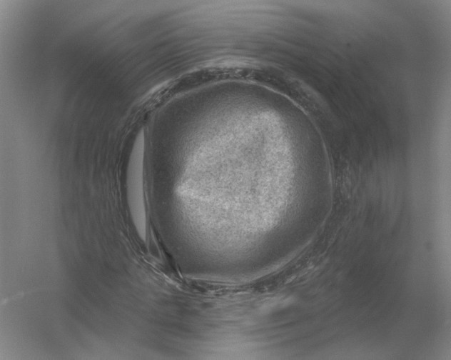 X0000054400821200508192002