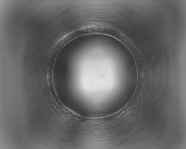 X0000054400822200508192002