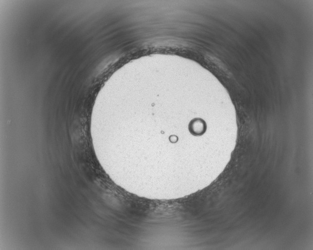 X0000054400824200508192002