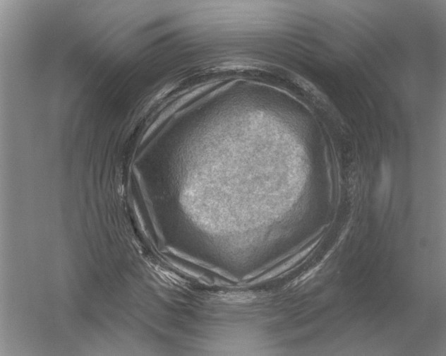 X0000054400825200508192002