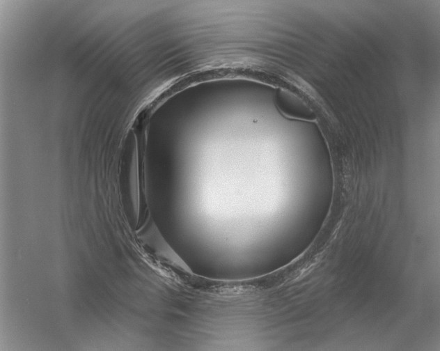 X0000054400826200508192002