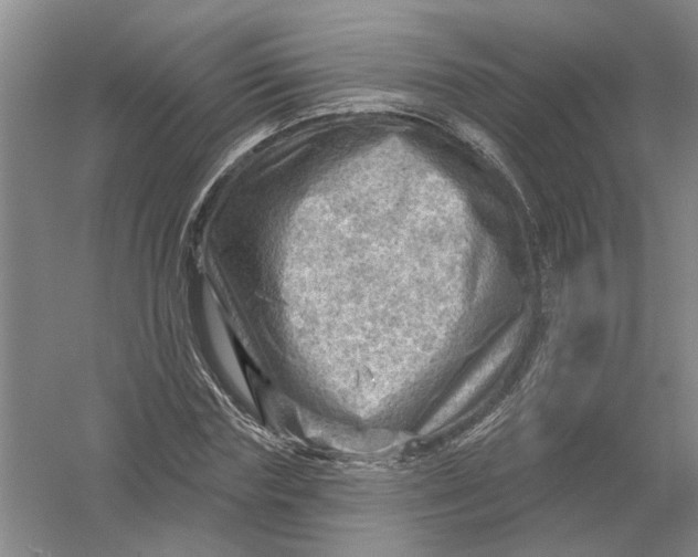 X0000054400827200508192002