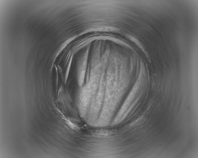 X0000054400829200508192003