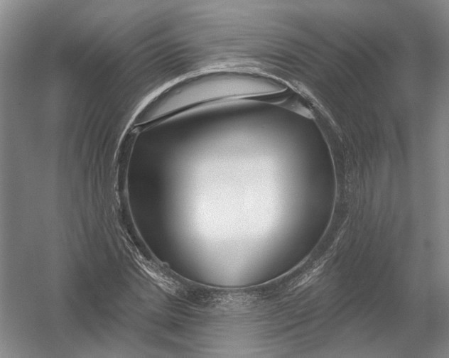 X0000054400830200508192003