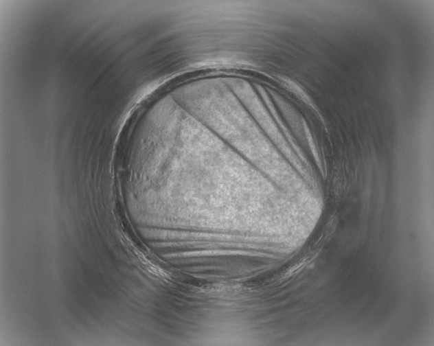 X0000054400831200508192003