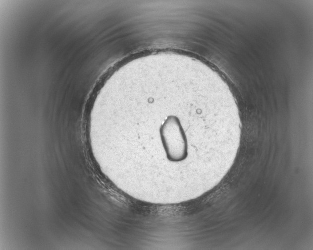 X0000054400832200508192003