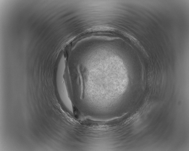 X0000054400833200508192003