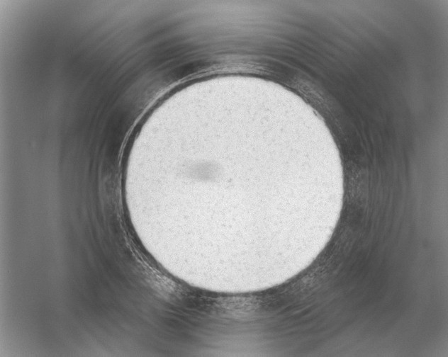 X0000054400836200508192003