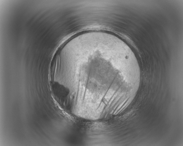 X0000054400839200508192003