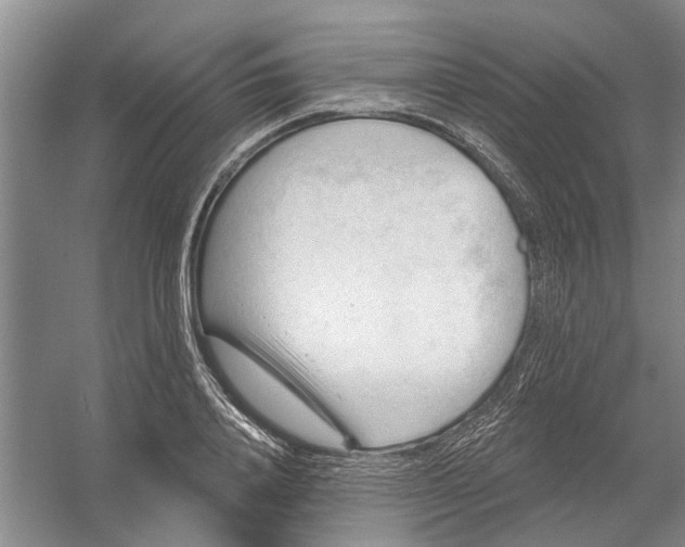 X0000054400840200508192003