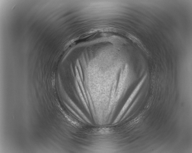 X0000054400841200508192003