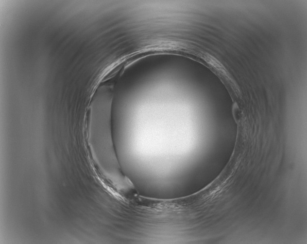 X0000054400842200508192003