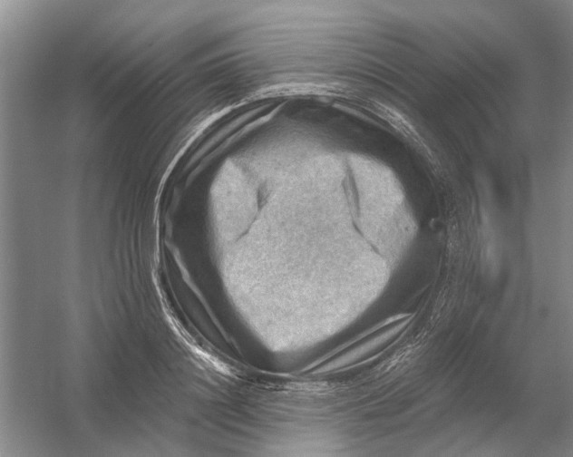 X0000054400844200508192003