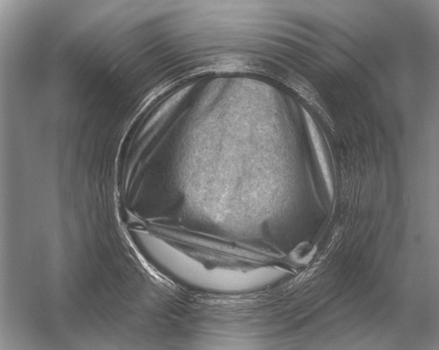 X0000054400845200508192003