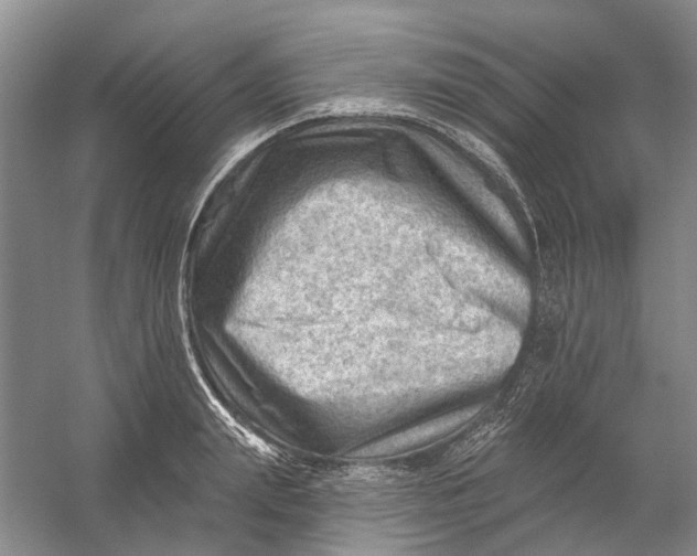 X0000054400847200508192003