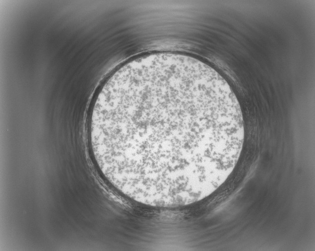 X0000054400848200508192003