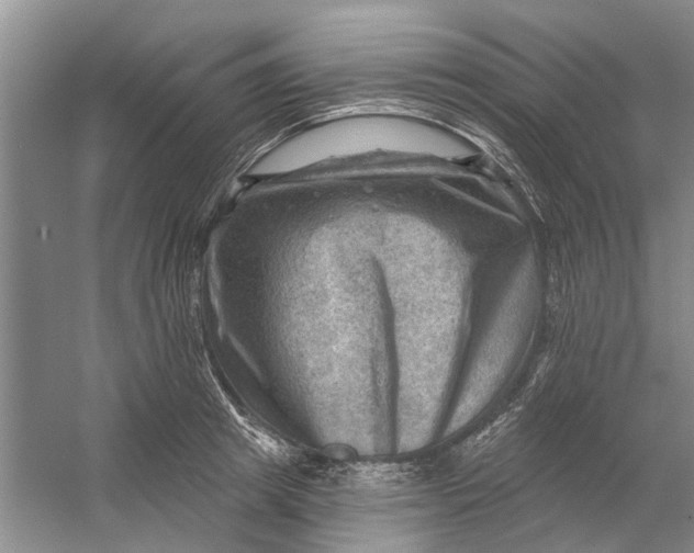 X0000054400849200508192003